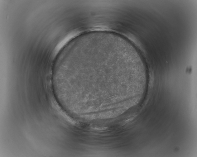 X0000113221325200910221116