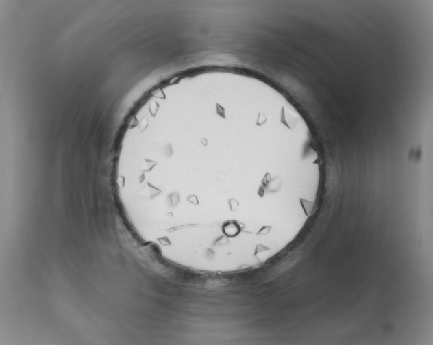 X0000113221326200910221116
