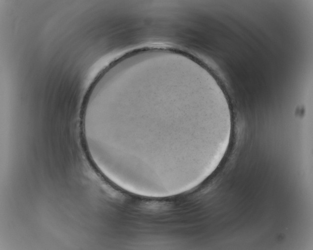 X0000113221327200910221116