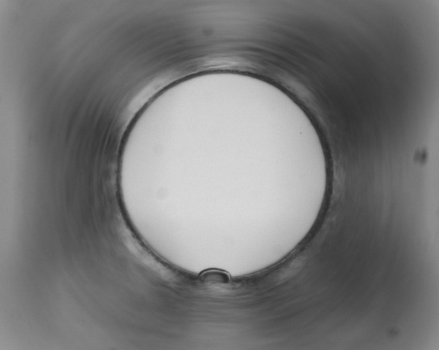 X0000113221330200910221116