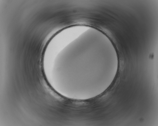 X0000113221331200910221116