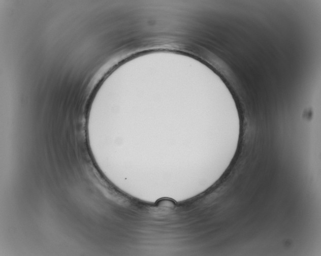 X0000113221332200910221116