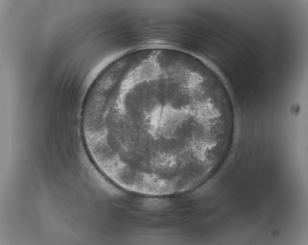 X0000113221333200910221116