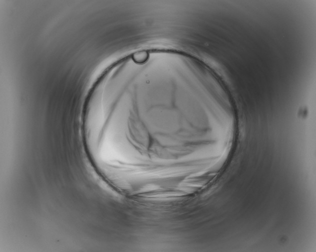 X0000113221334200910221116