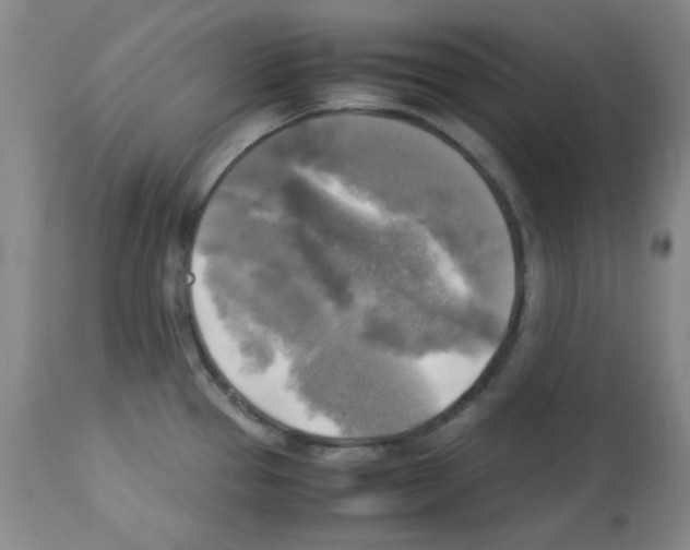 X0000113221337200910221116