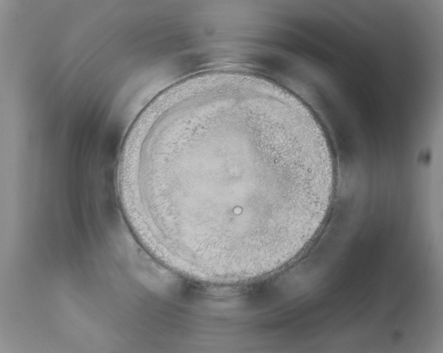 X0000113221338200910221116