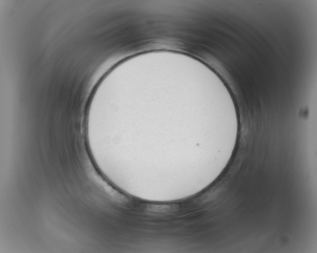 X0000113221339200910221116
