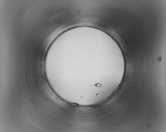 X0000113221340200910221116