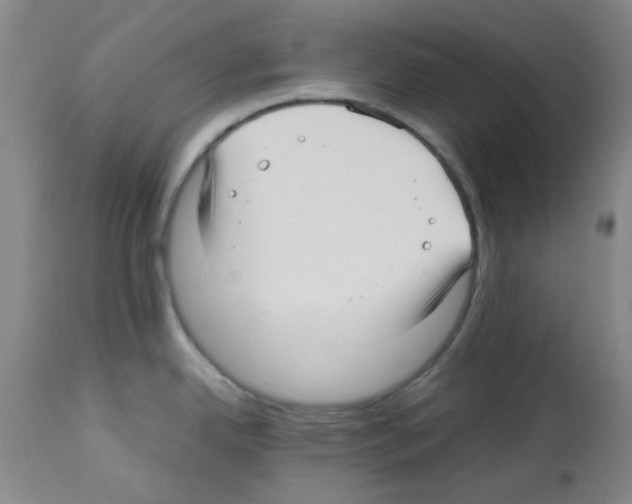 X0000113221342200910221116