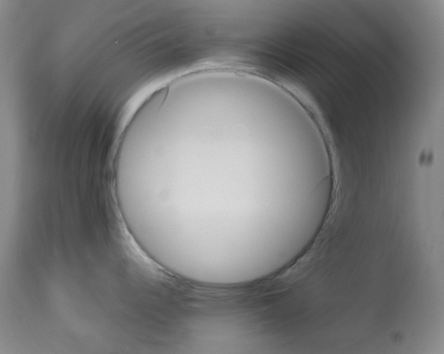 X0000113221344200910221116