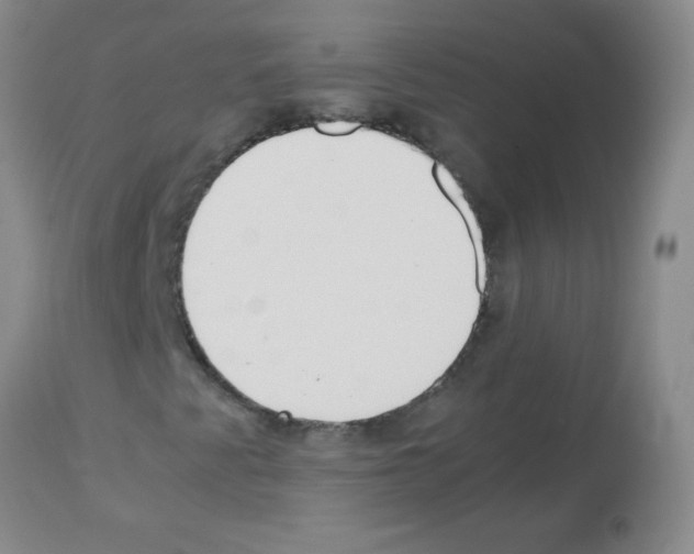 X0000113221345200910221116