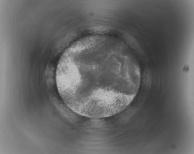 X0000113221346200910221116