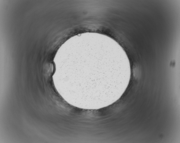 X0000113221347200910221116
