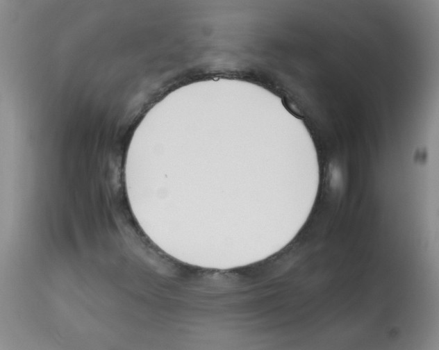 X0000113221348200910221116