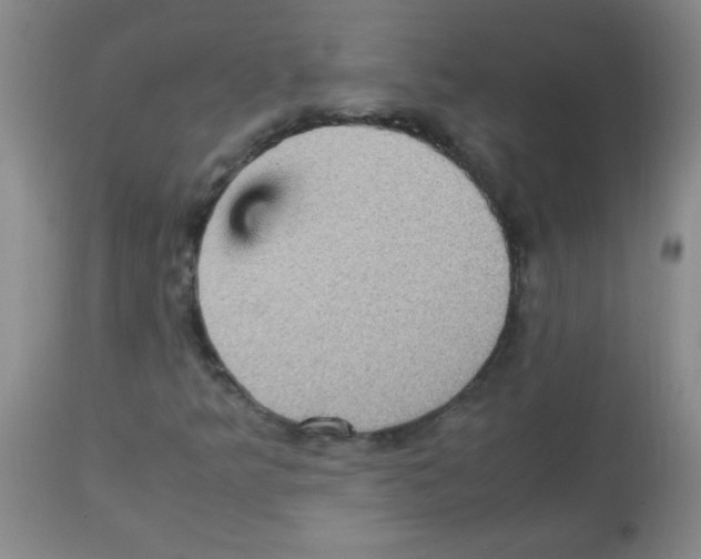 X0000113221349200910221116