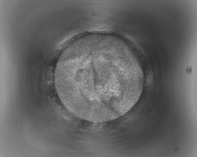 X0000113221350200910221116