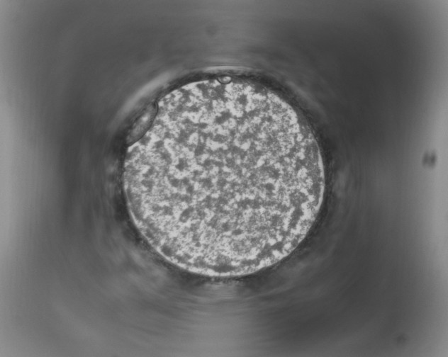 X0000113221351200910221116