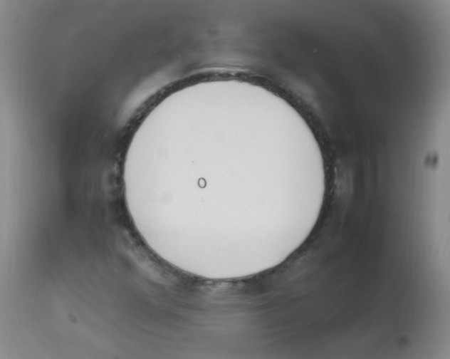 X0000113221352200910221116