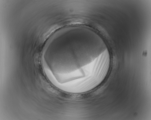 X0000113221353200910221116