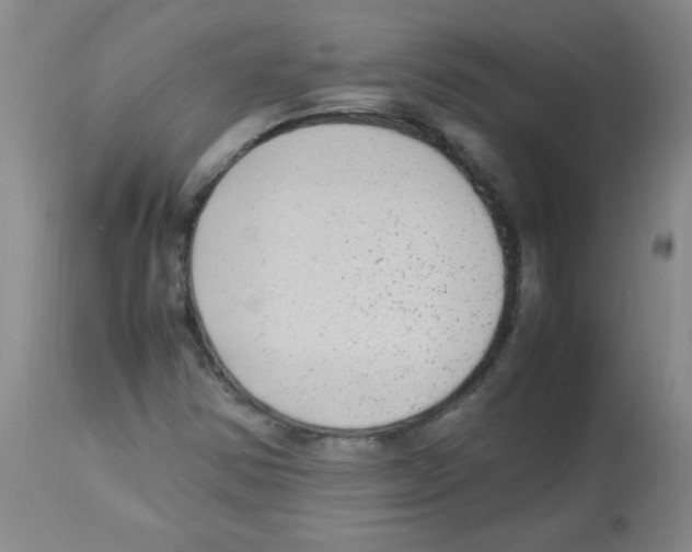 X0000113221354200910221116