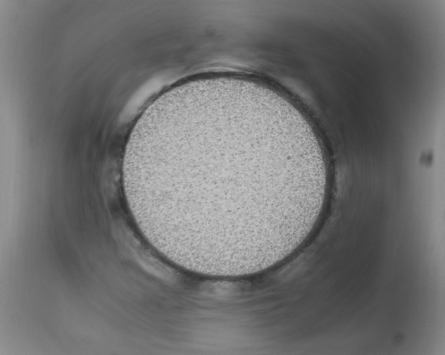 X0000113221355200910221116