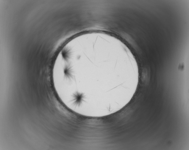 X0000113221356200910221116
