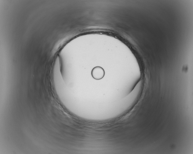 X0000113221357200910221116