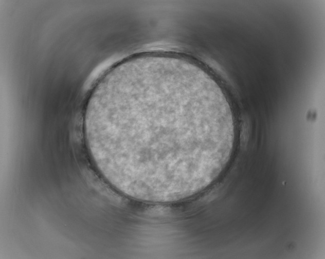 X0000113221358200910221116