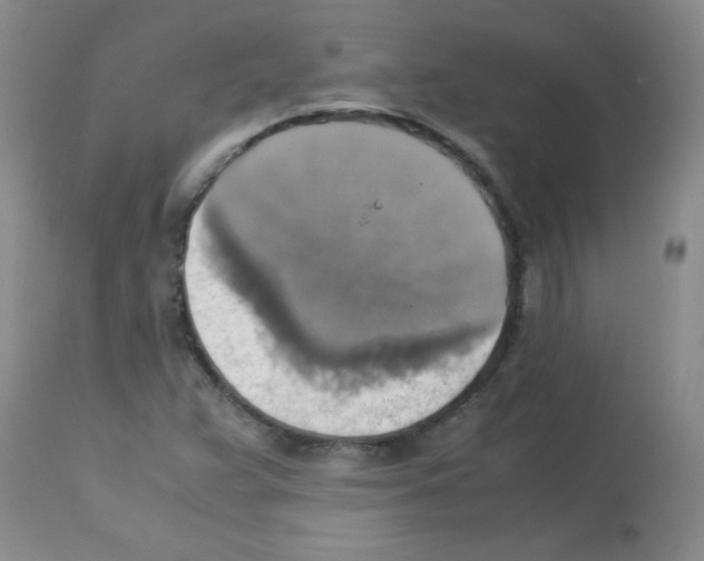 X0000113221359200910221116
