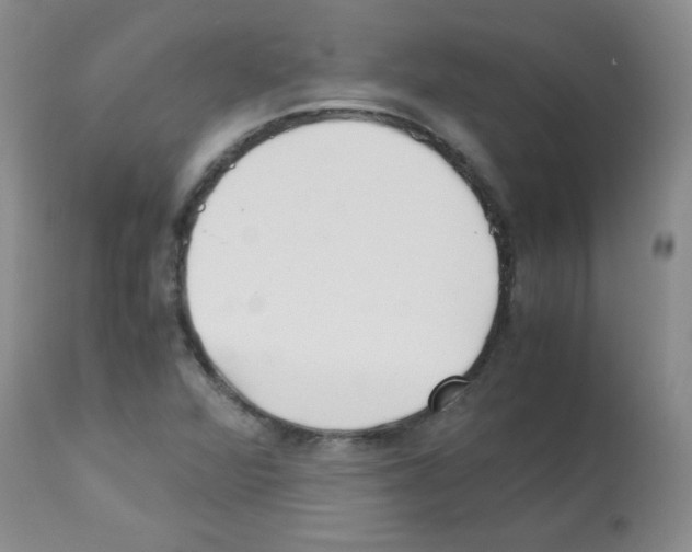 X0000113221360200910221116