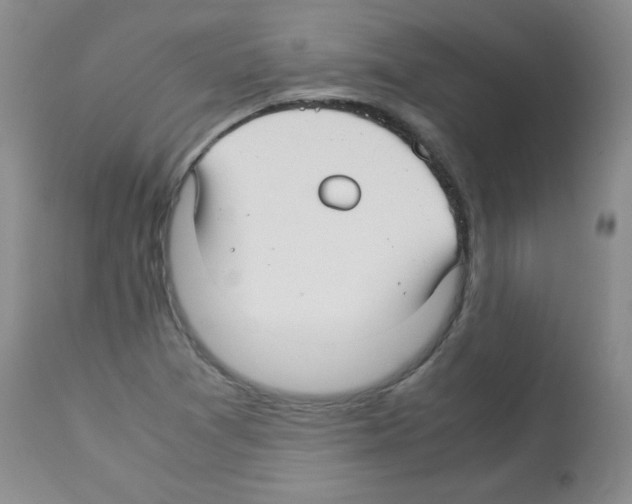 X0000113221361200910221116