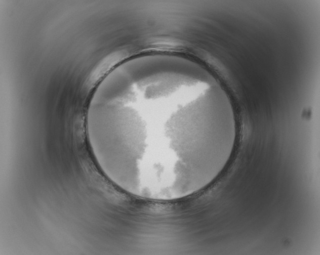 X0000113221362200910221116