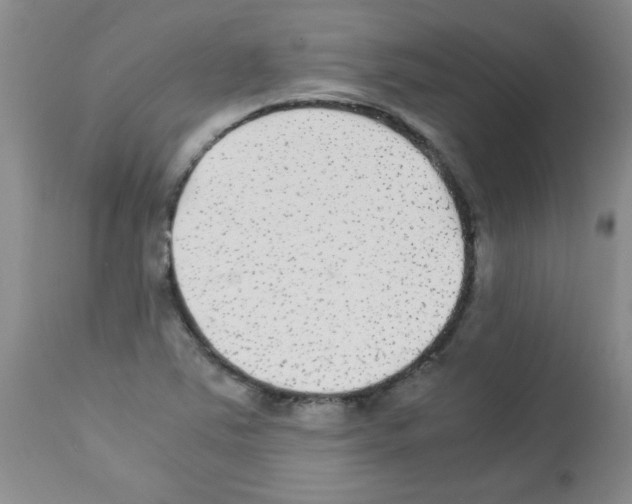 X0000113221363200910221116