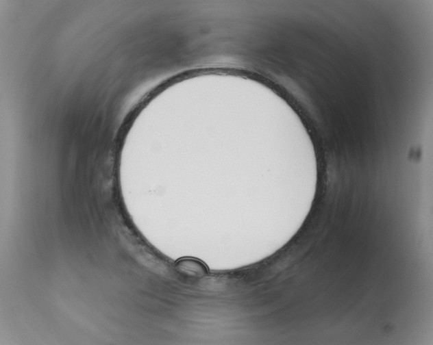 X0000113221364200910221116