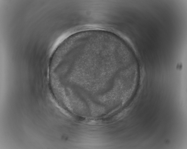 X0000113221365200910221116