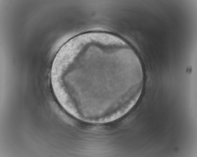 X0000113221367200910221116