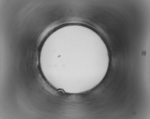 X0000113221368200910221115