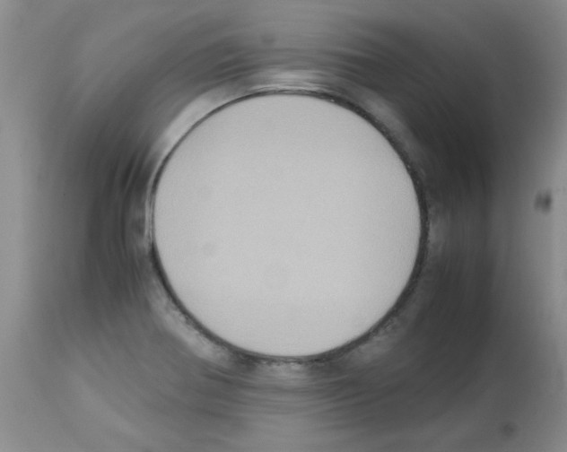 X0000113221370200910221115