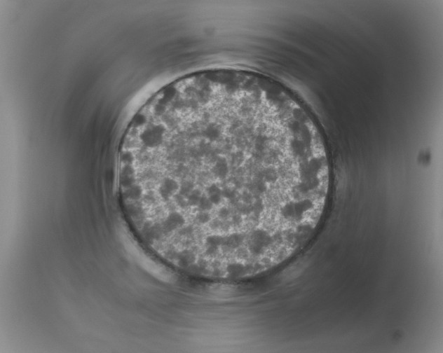 X0000113221371200910221115