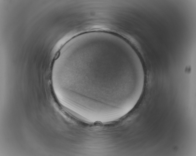 X0000113221373200910221115