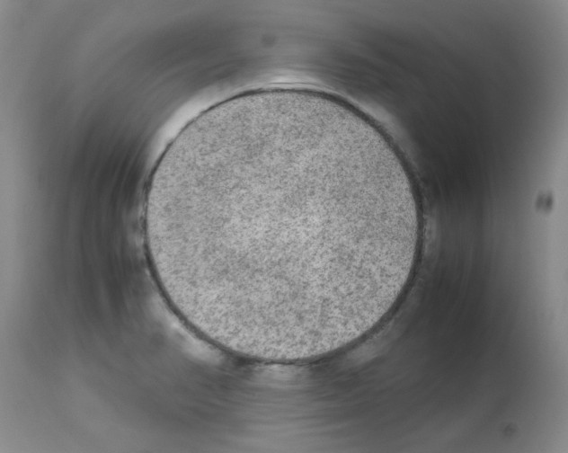 X0000113221374200910221115