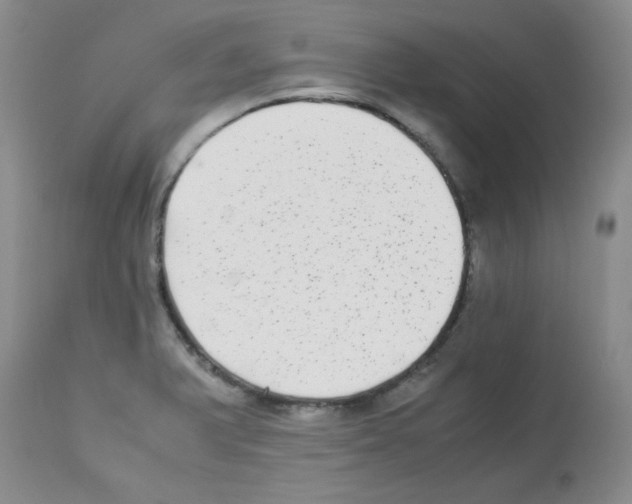 X0000113221375200910221115