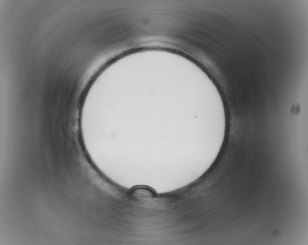 X0000113221376200910221115