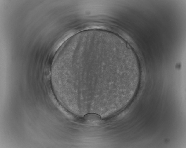 X0000113221377200910221115