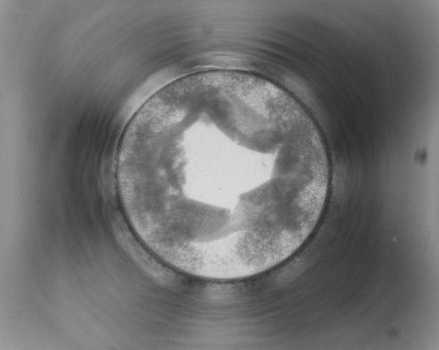 X0000113221378200910221115