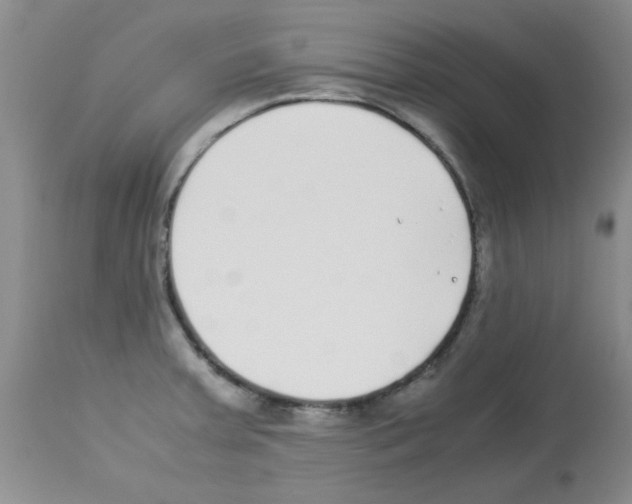 X0000113221379200910221115