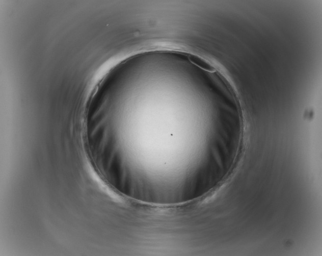 X0000113221381200910221115
