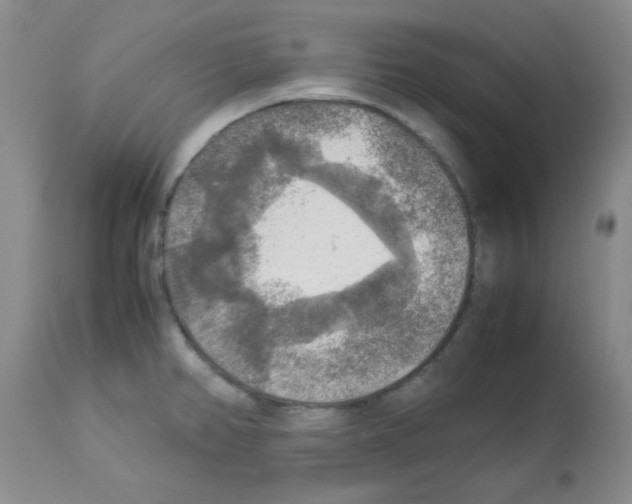 X0000113221382200910221115