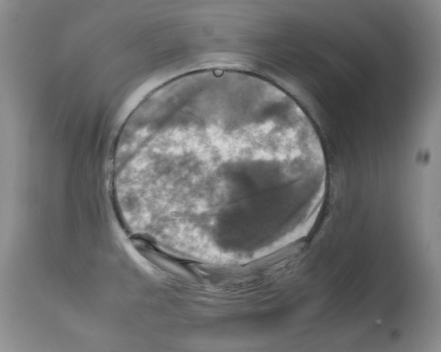 X0000113221383200910221115