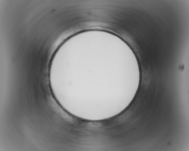 X0000113221384200910221115